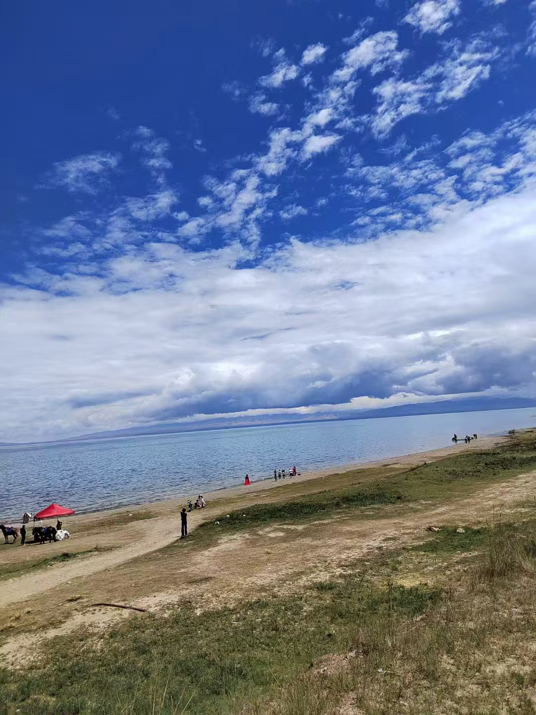 青海湖